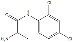 2-amino-N-(2,4-dichlorophenyl)propanamide Struktur