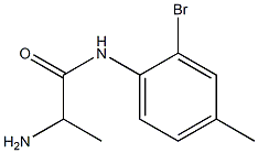 2-amino-N-(2-bromo-4-methylphenyl)propanamide Struktur