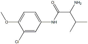 2-amino-N-(3-chloro-4-methoxyphenyl)-3-methylbutanamide Struktur