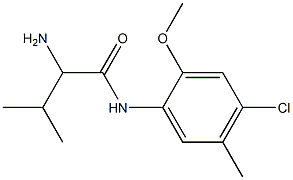 2-amino-N-(4-chloro-2-methoxy-5-methylphenyl)-3-methylbutanamide Struktur