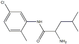 2-amino-N-(5-chloro-2-methylphenyl)-4-methylpentanamide Struktur