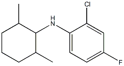 2-chloro-N-(2,6-dimethylcyclohexyl)-4-fluoroaniline Struktur