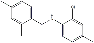 2-chloro-N-[1-(2,4-dimethylphenyl)ethyl]-4-methylaniline Struktur