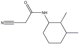 2-cyano-N-(2,3-dimethylcyclohexyl)acetamide Struktur