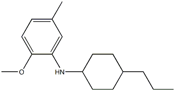 2-methoxy-5-methyl-N-(4-propylcyclohexyl)aniline Struktur