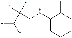 2-methyl-N-(2,2,3,3-tetrafluoropropyl)cyclohexan-1-amine Struktur