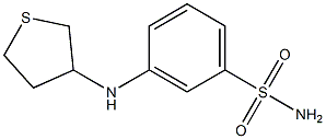 3-(thiolan-3-ylamino)benzene-1-sulfonamide Struktur