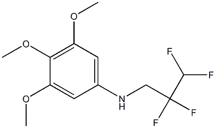 3,4,5-trimethoxy-N-(2,2,3,3-tetrafluoropropyl)aniline Struktur