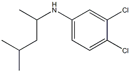 3,4-dichloro-N-(4-methylpentan-2-yl)aniline Struktur