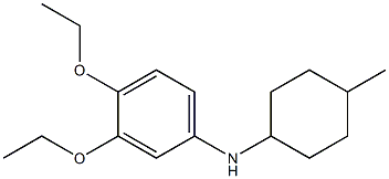 3,4-diethoxy-N-(4-methylcyclohexyl)aniline Struktur