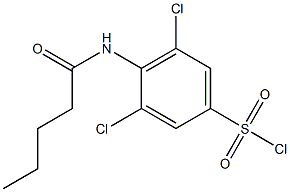 3,5-dichloro-4-pentanamidobenzene-1-sulfonyl chloride Struktur