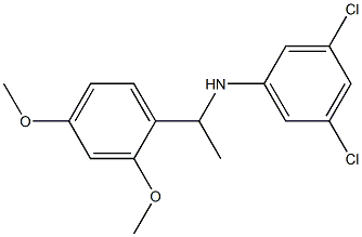 3,5-dichloro-N-[1-(2,4-dimethoxyphenyl)ethyl]aniline Struktur