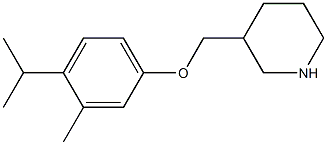 3-[3-methyl-4-(propan-2-yl)phenoxymethyl]piperidine Struktur