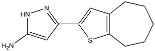 3-{4H,5H,6H,7H,8H-cyclohepta[b]thiophen-2-yl}-1H-pyrazol-5-amine Struktur