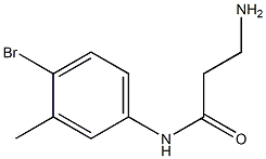 3-amino-N-(4-bromo-3-methylphenyl)propanamide Struktur