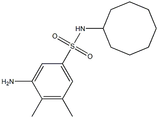 3-amino-N-cyclooctyl-4,5-dimethylbenzene-1-sulfonamide Struktur