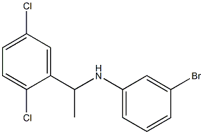 3-bromo-N-[1-(2,5-dichlorophenyl)ethyl]aniline Struktur