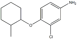 3-chloro-4-[(2-methylcyclohexyl)oxy]aniline Struktur