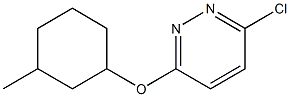 3-chloro-6-[(3-methylcyclohexyl)oxy]pyridazine Struktur