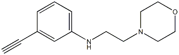 3-ethynyl-N-[2-(morpholin-4-yl)ethyl]aniline Struktur