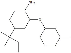 4-(2-methylbutan-2-yl)-2-[(3-methylcyclohexyl)oxy]cyclohexan-1-amine Struktur