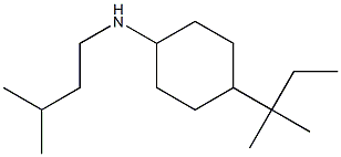 4-(2-methylbutan-2-yl)-N-(3-methylbutyl)cyclohexan-1-amine Struktur