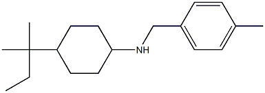 4-(2-methylbutan-2-yl)-N-[(4-methylphenyl)methyl]cyclohexan-1-amine Struktur