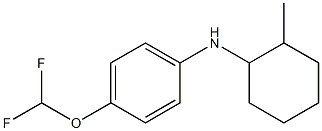 4-(difluoromethoxy)-N-(2-methylcyclohexyl)aniline Struktur