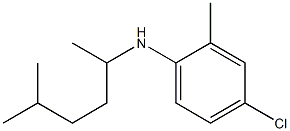 4-chloro-2-methyl-N-(5-methylhexan-2-yl)aniline Struktur