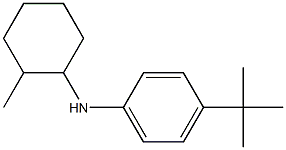 4-tert-butyl-N-(2-methylcyclohexyl)aniline Struktur