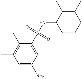 5-amino-N-(2,3-dimethylcyclohexyl)-2,3-dimethylbenzene-1-sulfonamide Struktur