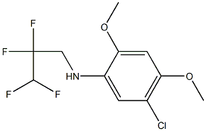 5-chloro-2,4-dimethoxy-N-(2,2,3,3-tetrafluoropropyl)aniline Struktur