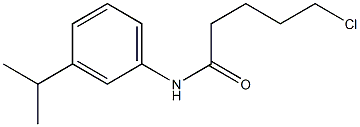 5-chloro-N-[3-(propan-2-yl)phenyl]pentanamide Struktur