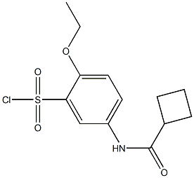 5-cyclobutaneamido-2-ethoxybenzene-1-sulfonyl chloride Struktur