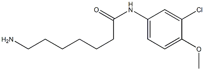 7-amino-N-(3-chloro-4-methoxyphenyl)heptanamide Struktur