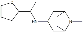 8-methyl-N-[1-(oxolan-2-yl)ethyl]-8-azabicyclo[3.2.1]octan-3-amine Struktur