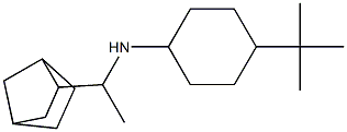 N-(1-{bicyclo[2.2.1]heptan-2-yl}ethyl)-4-tert-butylcyclohexan-1-amine Struktur