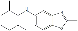 N-(2,6-dimethylcyclohexyl)-2-methyl-1,3-benzoxazol-5-amine Struktur