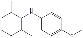 N-(2,6-dimethylcyclohexyl)-4-methoxyaniline Struktur