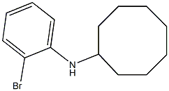 N-(2-bromophenyl)cyclooctanamine Struktur