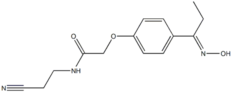 N-(2-cyanoethyl)-2-{4-[(1E)-N-hydroxypropanimidoyl]phenoxy}acetamide Struktur