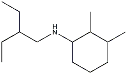 N-(2-ethylbutyl)-2,3-dimethylcyclohexan-1-amine Struktur