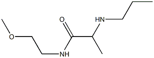 N-(2-methoxyethyl)-2-(propylamino)propanamide Struktur