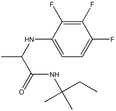 N-(2-methylbutan-2-yl)-2-[(2,3,4-trifluorophenyl)amino]propanamide Struktur