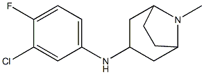 N-(3-chloro-4-fluorophenyl)-8-methyl-8-azabicyclo[3.2.1]octan-3-amine Struktur