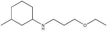 N-(3-ethoxypropyl)-3-methylcyclohexan-1-amine Struktur