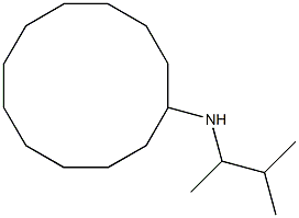 N-(3-methylbutan-2-yl)cyclododecanamine Struktur