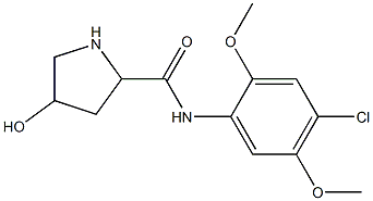 N-(4-chloro-2,5-dimethoxyphenyl)-4-hydroxypyrrolidine-2-carboxamide Struktur