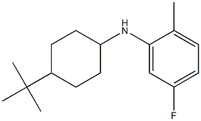 N-(4-tert-butylcyclohexyl)-5-fluoro-2-methylaniline Struktur