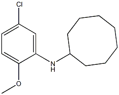 N-(5-chloro-2-methoxyphenyl)cyclooctanamine Struktur